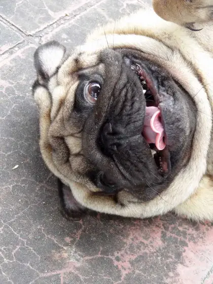 Foto