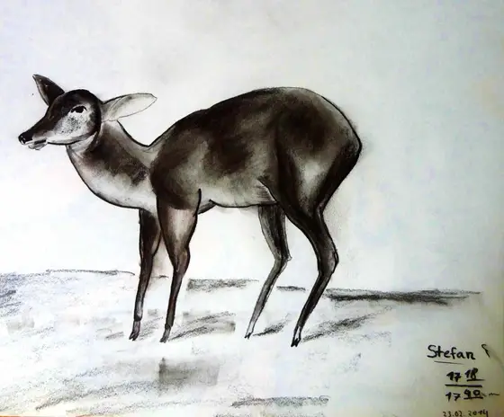 Zeichnung, 2017