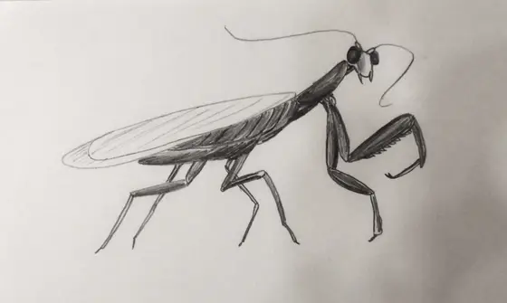 Zeichnung, 2018