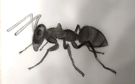Zeichnung, 2018