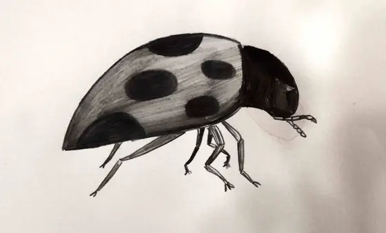 Zeichnung, 2018