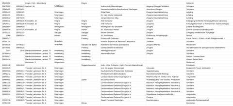 Lebenslauf (Originaltabelle)